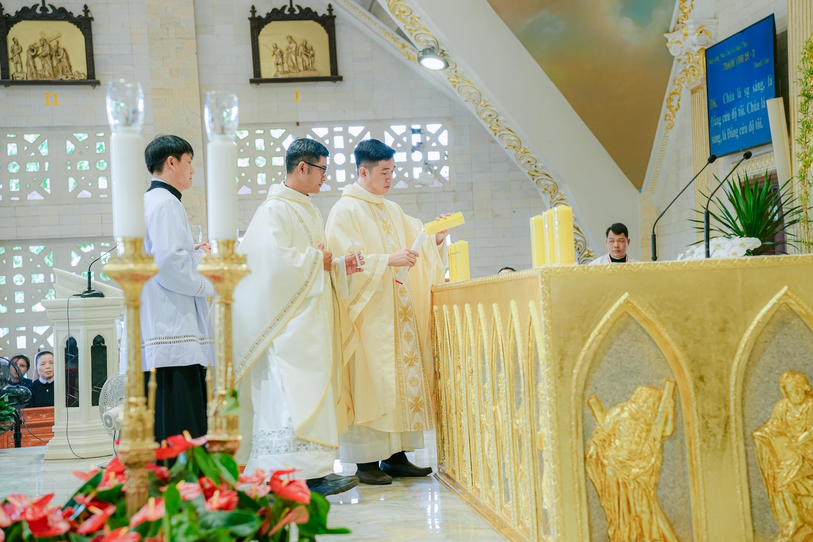 Photo-11